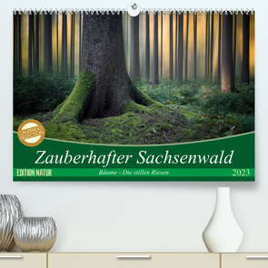 Zauberhafter Sachsenwald (Premium, hochwertiger DIN A2 Wandkalender 2023, Kunstdruck in Hochglanz) von Meyerdierks,  Carsten