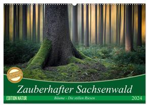 Zauberhafter Sachsenwald (Wandkalender 2024 DIN A2 quer), CALVENDO Monatskalender von Meyerdierks,  Carsten