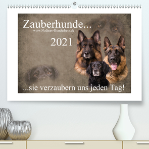 Zauberhunde… sie verzaubern uns jeden Tag! (Premium, hochwertiger DIN A2 Wandkalender 2021, Kunstdruck in Hochglanz) von Hofer-Ott,  Nadine