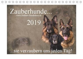 Zauberhunde… sie verzaubern uns jeden Tag! (Tischkalender 2019 DIN A5 quer) von Hofer-Ott,  Nadine