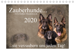 Zauberhunde… sie verzaubern uns jeden Tag! (Tischkalender 2020 DIN A5 quer) von Hofer-Ott,  Nadine