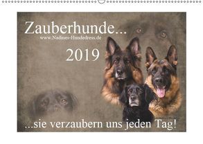 Zauberhunde… sie verzaubern uns jeden Tag! (Wandkalender 2019 DIN A2 quer) von Hofer-Ott,  Nadine