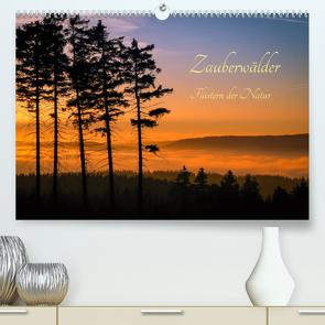 Zauberwälder – Flüstern der Natur (Premium, hochwertiger DIN A2 Wandkalender 2022, Kunstdruck in Hochglanz) von Pi,  Dora