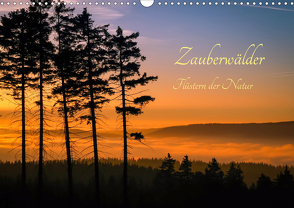 Zauberwälder – Flüstern der Natur (Wandkalender 2021 DIN A3 quer) von Pi,  Dora