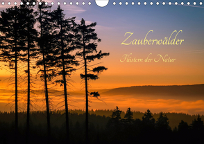 Zauberwälder – Flüstern der Natur (Wandkalender 2021 DIN A4 quer) von Pi,  Dora
