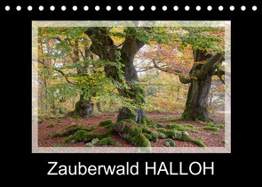 Zauberwald HALLOH (Tischkalender 2023 DIN A5 quer) von Maurer,  Marion