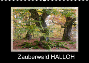 Zauberwald HALLOH (Wandkalender 2022 DIN A2 quer) von Maurer,  Marion