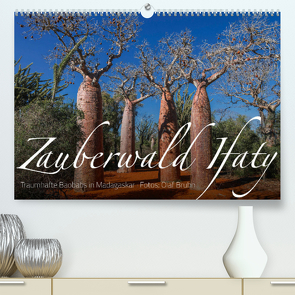 Zauberwald Ifaty · Traumhafte Baobabs in Madagaskar (Premium, hochwertiger DIN A2 Wandkalender 2022, Kunstdruck in Hochglanz) von Bruhn,  Olaf