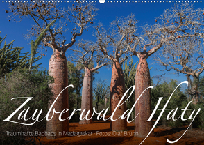 Zauberwald Ifaty · Traumhafte Baobabs in Madagaskar (Wandkalender 2021 DIN A2 quer) von Bruhn,  Olaf