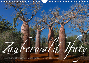 Zauberwald Ifaty · Traumhafte Baobabs in Madagaskar (Wandkalender 2021 DIN A4 quer) von Bruhn,  Olaf