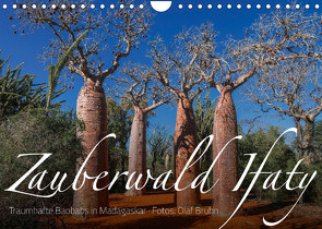 Zauberwald Ifaty · Traumhafte Baobabs in Madagaskar (Wandkalender 2022 DIN A4 quer) von Bruhn,  Olaf