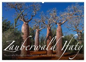 Zauberwald Ifaty · Traumhafte Baobabs in Madagaskar (Wandkalender 2024 DIN A2 quer), CALVENDO Monatskalender von Bruhn,  Olaf