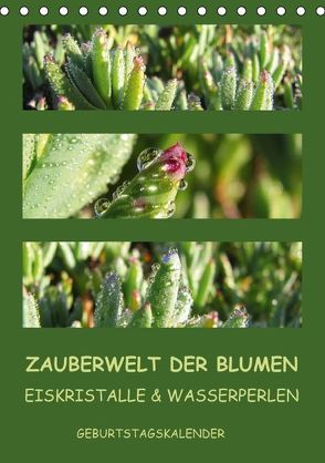 Zauberwelt der Blumen – Eiskristalle & Wasserperlen / Geburtstagskalender (Tischkalender immerwährend DIN A5 hoch) von hinter-dem-horizont-media.net,  k.A., Kiesow,  Bernhard, Kiesow,  Tanja