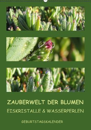 Zauberwelt der Blumen – Eiskristalle & Wasserperlen / Geburtstagskalender (Wandkalender immerwährend DIN A2 hoch) von hinter-dem-horizont-media.net,  k.A., Kiesow,  Bernhard, Kiesow,  Tanja