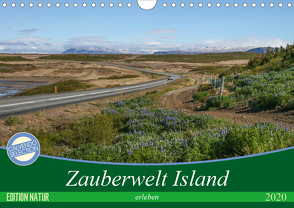 Zauberwelt Island erleben (Wandkalender 2020 DIN A4 quer) von Fietzek,  Anke