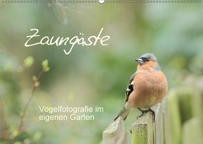 Zaungäste (Wandkalender 2018 DIN A2 quer) von Mainz,  Beate