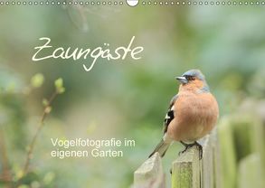 Zaungäste (Wandkalender 2018 DIN A3 quer) von Mainz,  Beate