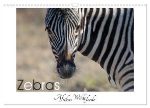 Zebras – Afrikas Wildpferde (Wandkalender 2024 DIN A3 quer), CALVENDO Monatskalender von van der Wiel,  Irma