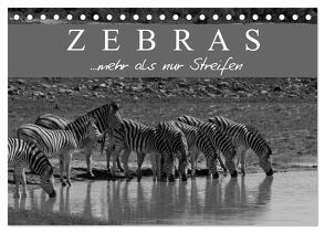 Zebras – Mehr als nur Streifen (Tischkalender 2024 DIN A5 quer), CALVENDO Monatskalender von Pavlowsky Photography,  Markus