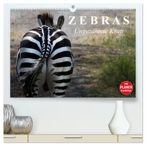 Zebras – Ungezähmte Kraft (hochwertiger Premium Wandkalender 2024 DIN A2 quer), Kunstdruck in Hochglanz von Stanzer,  Elisabeth