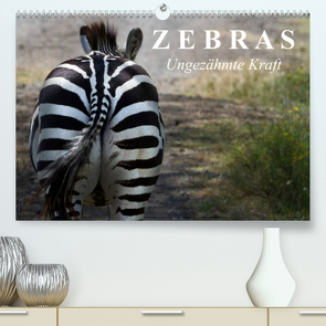 Zebras – Ungezähmte Kraft (Premium, hochwertiger DIN A2 Wandkalender 2023, Kunstdruck in Hochglanz) von Stanzer,  Elisabeth