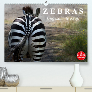 Zebras – Ungezähmte Kraft (Premium, hochwertiger DIN A2 Wandkalender 2023, Kunstdruck in Hochglanz) von Stanzer,  Elisabeth