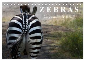 Zebras – Ungezähmte Kraft (Tischkalender 2024 DIN A5 quer), CALVENDO Monatskalender von Stanzer,  Elisabeth