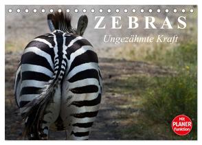 Zebras – Ungezähmte Kraft (Tischkalender 2024 DIN A5 quer), CALVENDO Monatskalender von Stanzer,  Elisabeth