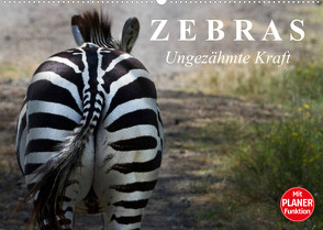 Zebras – Ungezähmte Kraft (Wandkalender 2023 DIN A2 quer) von Stanzer,  Elisabeth