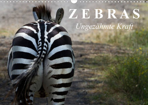 Zebras – Ungezähmte Kraft (Wandkalender 2023 DIN A3 quer) von Stanzer,  Elisabeth