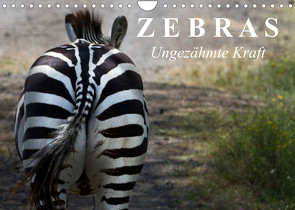 Zebras – Ungezähmte Kraft (Wandkalender 2023 DIN A4 quer) von Stanzer,  Elisabeth