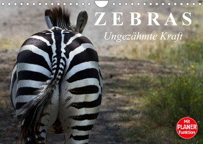 Zebras – Ungezähmte Kraft (Wandkalender 2023 DIN A4 quer) von Stanzer,  Elisabeth