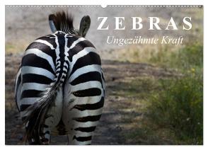 Zebras – Ungezähmte Kraft (Wandkalender 2024 DIN A2 quer), CALVENDO Monatskalender von Stanzer,  Elisabeth