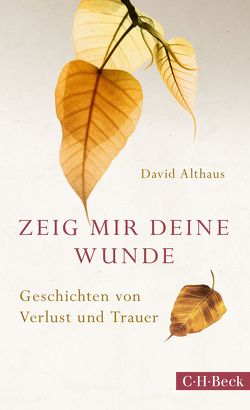 Zeig mir deine Wunde von Althaus,  David