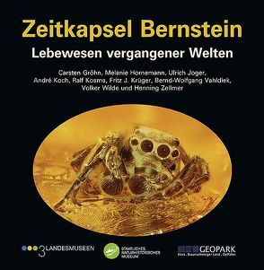 Zeitkapsel Bernstein – Lebewesen vergangener Welten von Gröhn,  Carsten, HORNEMANN,  Melanie, Joger,  Ulrich, Koch,  André, Kosma,  Ralf, KRÜGER,  Fritz J., VAHLDIEK,  Bernd-Wolfgang, Wilde,  Volker, Zellmer,  Henning