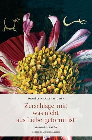 Zerschlage mir, was nicht aus Liebe geformt ist von Nicolet Widmer,  Daniele