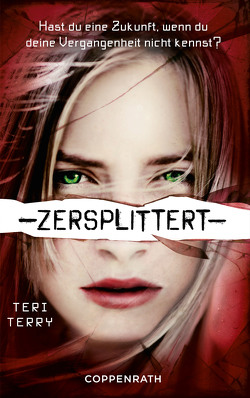 Zersplittert von Terry,  Teri