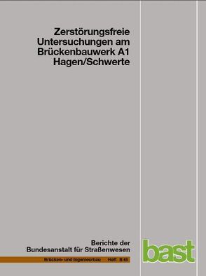 Zerstörungsfreie Untersuchungen am Brückenbauwerk A1 Hagen/Schwerte von Friese,  Martin, Taffe,  Alexander, Wöstmann,  Jens, Zoega,  Andreas