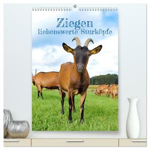 Ziegen – liebenswerte Sturköpfe (hochwertiger Premium Wandkalender 2024 DIN A2 hoch), Kunstdruck in Hochglanz von Merk,  Angela