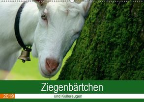 Ziegenbärtchen und Kulleraugen (Wandkalender 2019 DIN A2 quer) von Müller Fotografie,  Bea