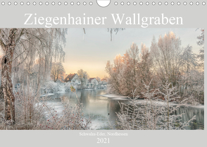 Ziegenhainer Wallgraben (Wandkalender 2021 DIN A4 quer) von Lidiya