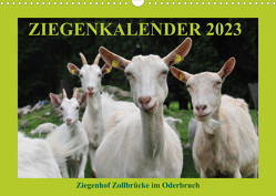 Ziegenkalender 2023 (Wandkalender 2023 DIN A3 quer) von und Dietmar Püpke,  Antje