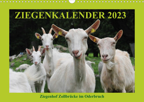 Ziegenkalender 2023 (Wandkalender 2023 DIN A3 quer) von und Dietmar Püpke,  Antje