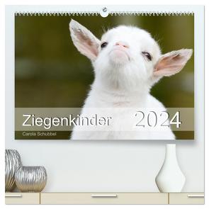 Ziegenkinder (hochwertiger Premium Wandkalender 2024 DIN A2 quer), Kunstdruck in Hochglanz von Schubbel,  Carola