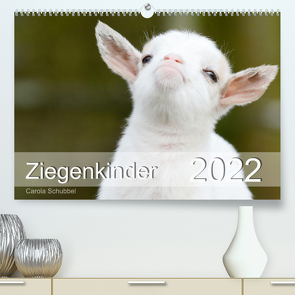 Ziegenkinder (Premium, hochwertiger DIN A2 Wandkalender 2022, Kunstdruck in Hochglanz) von Schubbel,  Carola