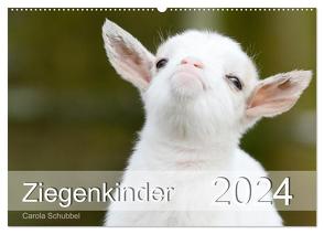 Ziegenkinder (Wandkalender 2024 DIN A2 quer), CALVENDO Monatskalender von Schubbel,  Carola