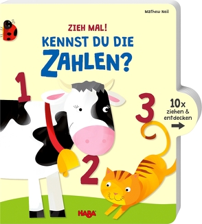 Zieh mal! Kennst du die Zahlen? von Neil,  Mathew, Storch,  Imke