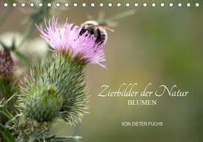 Zierbilder der Natur BLUMEN (Tischkalender 2021 DIN A5 quer) von Fuchs,  Dieter