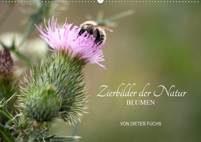 Zierbilder der Natur BLUMEN (Wandkalender 2021 DIN A2 quer) von Fuchs,  Dieter