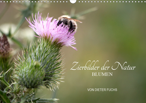 Zierbilder der Natur BLUMEN (Wandkalender 2021 DIN A3 quer) von Fuchs,  Dieter